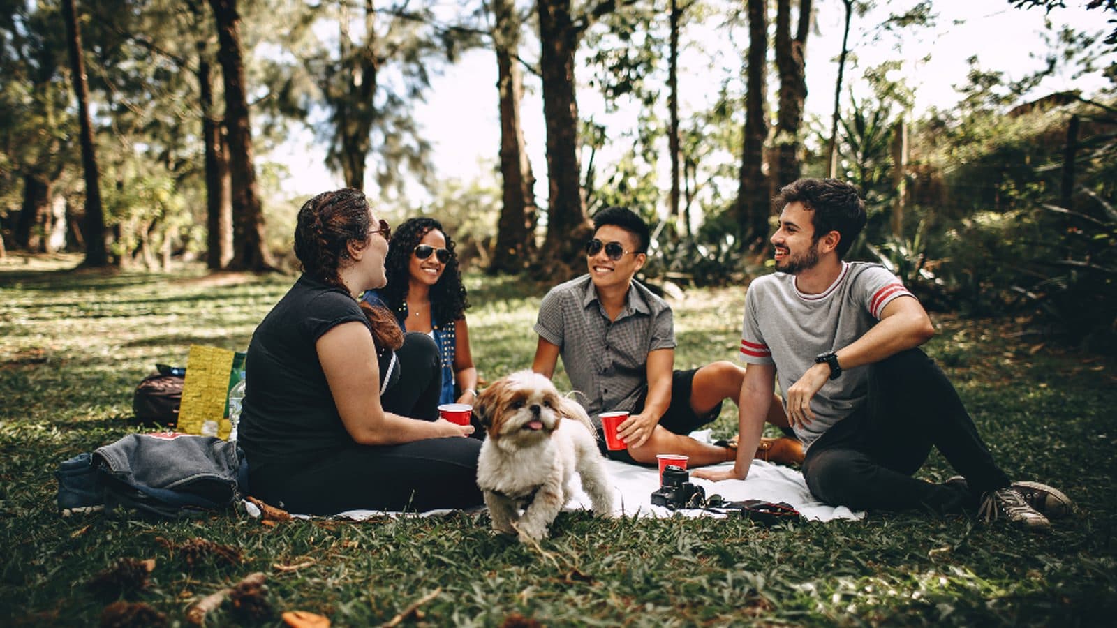 Grupo de amigos sentado na grama de um parque